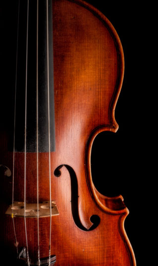 Violin